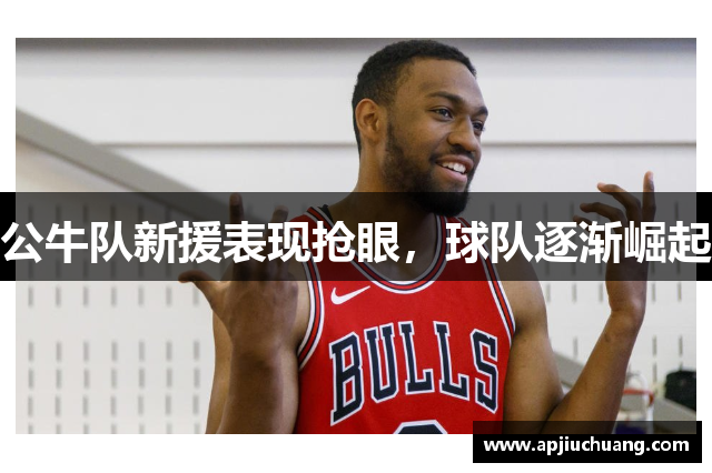 公牛队新援表现抢眼，球队逐渐崛起